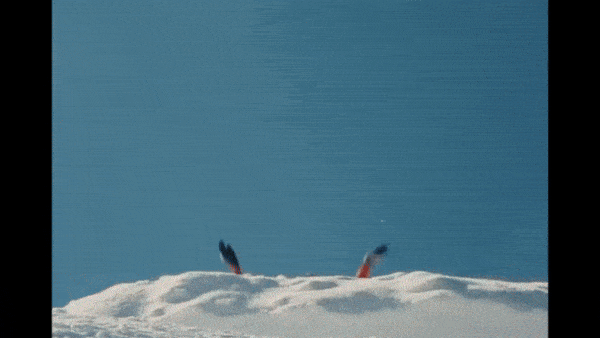 New York Festivals Health Awards Unveils 2025 Shortlist including Make NZ the Best Place in the World to have Herpes via Motion Sickness