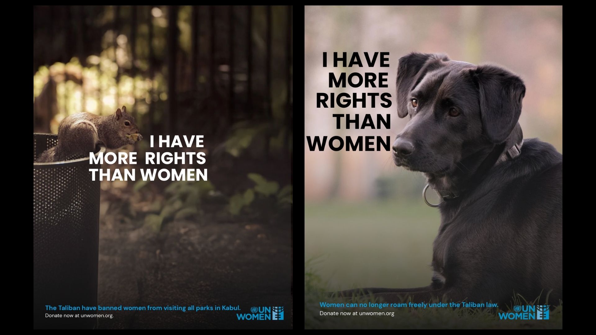 Fishing for new ideas? Meet AUT’s class of ’25